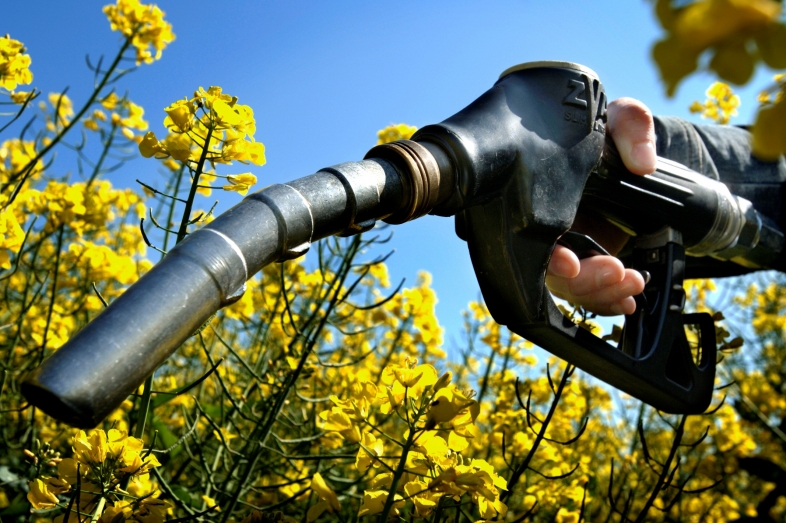 biokarburantet
