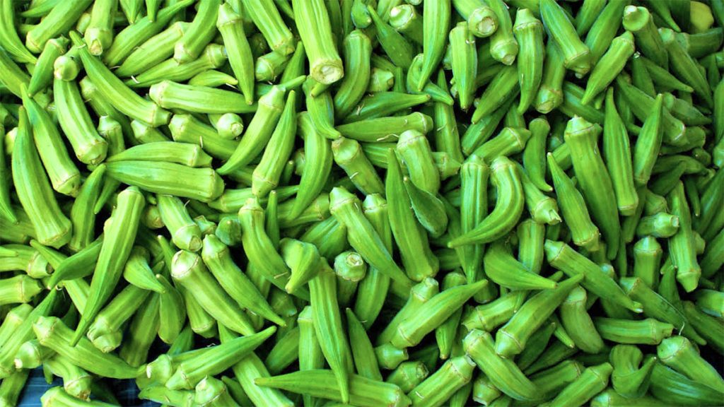 Bamja - Vlera të Rralla për të Gjithë Organizmin - AgroWeb