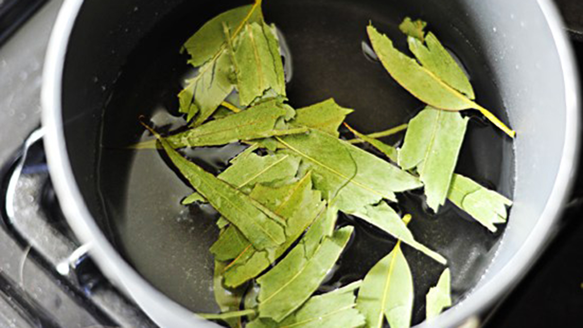 Как приготовить чай из листьев. Настой листьев эвкалипта. Отвар из листьев эвкалипта. Эвкалиптовый чай. Чай из эвкалиптовых листьев.