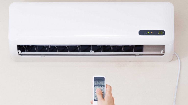 Majdanoz Me Limon Kund r Rrudhave Njollave Dhe Alergjive AgroWeb