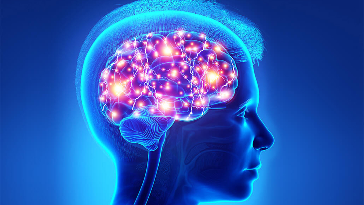 Мозг магнитное поле. Синий мозг. Головной мозг индиго. Теория мозга (неврология). Ориентирование мозг.